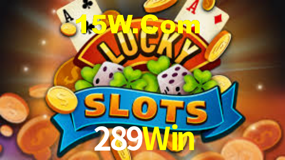 289Win App Interface