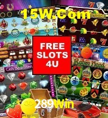 Experiência VIP 289Win