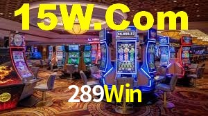 Programa VIP 289Win